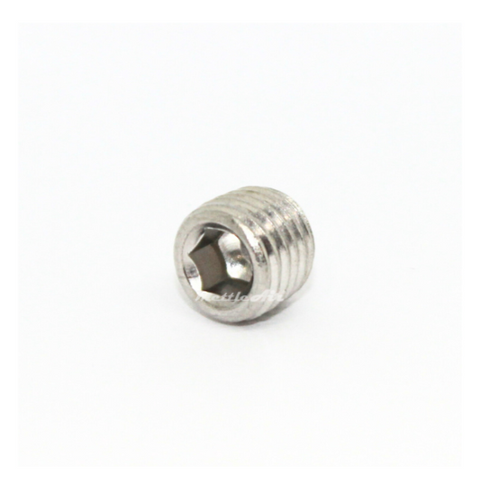 Stainless Steel 316L Countersunk Pipe Plug 1/16" NPT Male