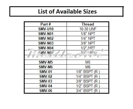 SS316L Filter Wire Mesh 110 microns / Vent Protector 1/2" BSPT (R)